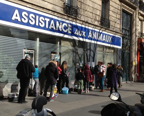 Dispensaire animaux Paris