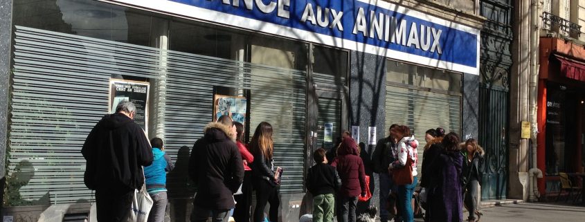 Dispensaire animaux Paris