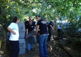 Fondation assistance aux animaux