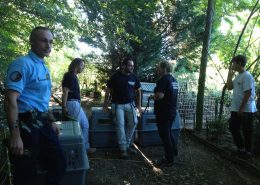 Fondation Assistance Aux Animaux sauvetage