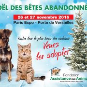 Adoption animaux Paris Porte de Versailles