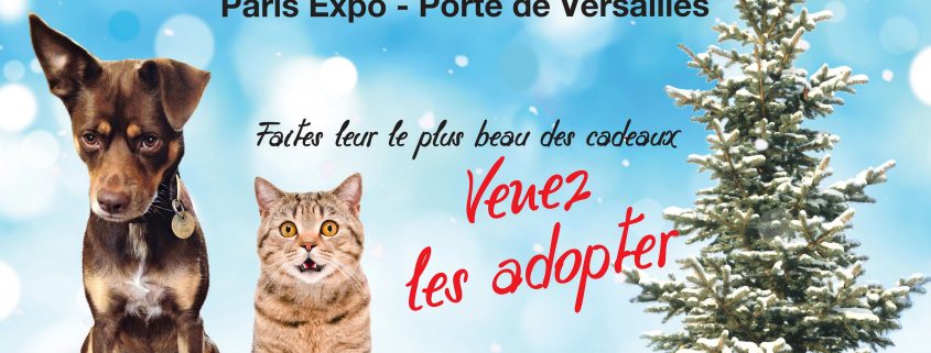 Adoption animaux Paris Porte de Versailles