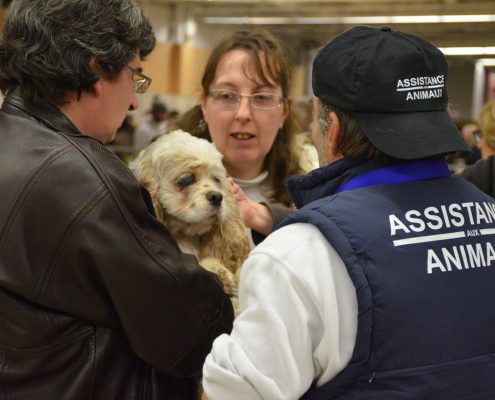 Chien adopté