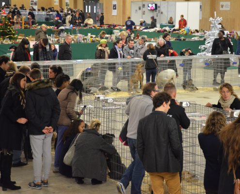 Parc des expo Paris