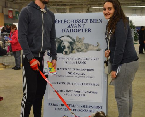 Adoption chien Paris Porte de Versailles