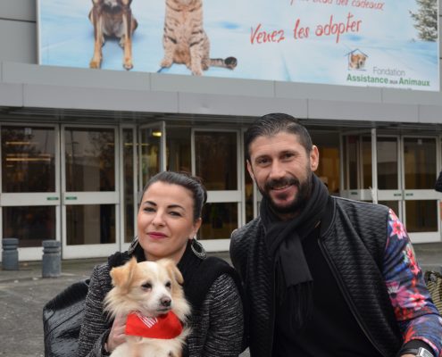 Adoption chien Paris