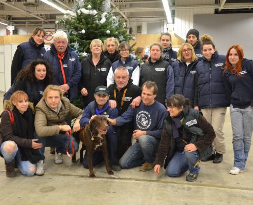 Bénévoles et soigneurs de la Fondation Assistance aux Animaux