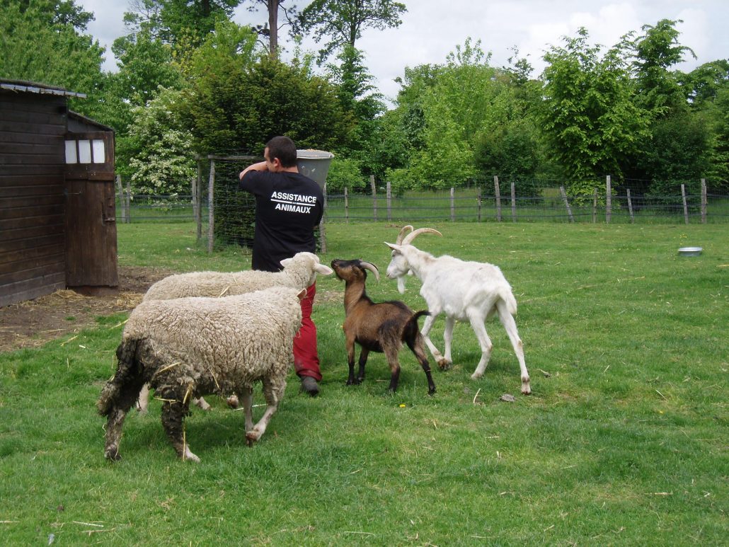 Ferme pédagogique Yvelines