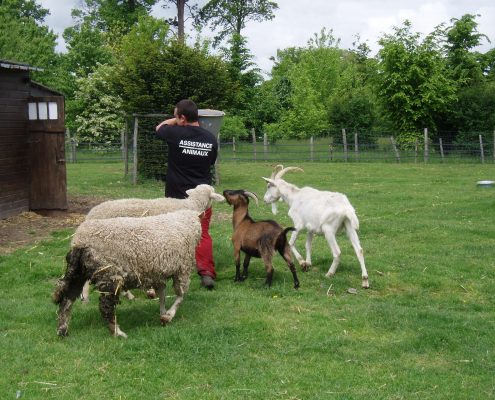 Ferme pédagogique Yvelines