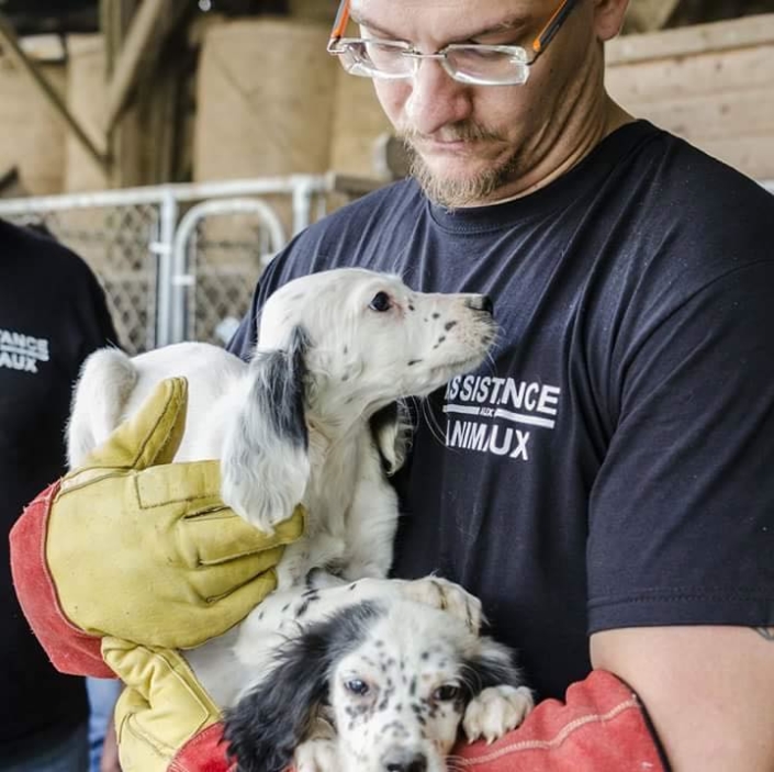 Fondation De Protection Des Animaux AEODKK — free download