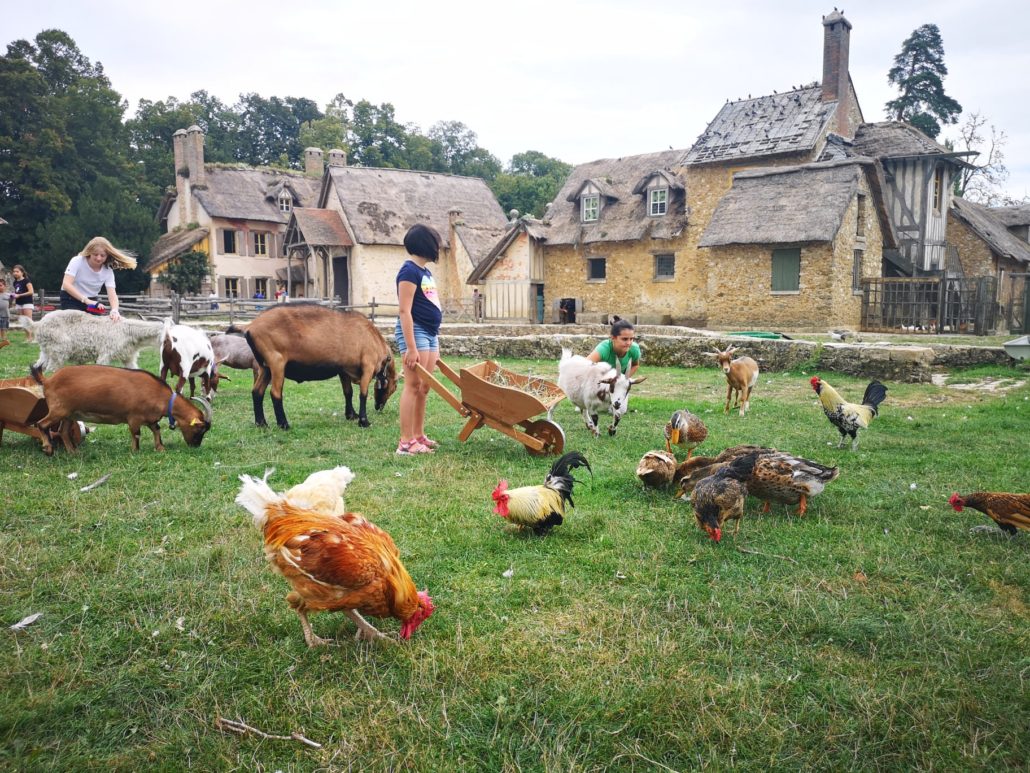 La Ferme Du Hameau De La Reine Versailles Est Un V ritable Lieu De La Ferme Du Hameau De La Reine Versailles Est Un V ritable Lieu De