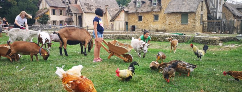 La ferme du Hameau de la Reine à Versailles est un véritable lieu de  rencontre avec la vie. - Fondation Assistance aux Animaux - Actualités
