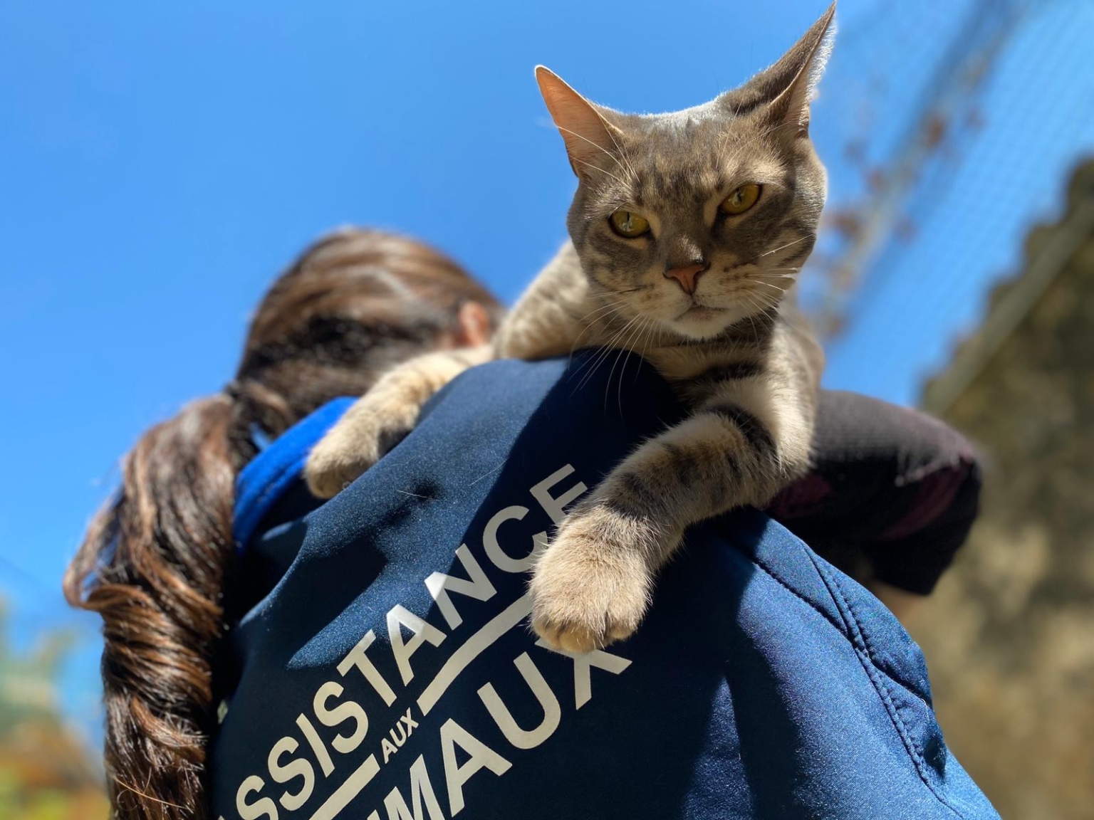 Les refuges de la Fondation Assistance aux Animaux en activité ...
