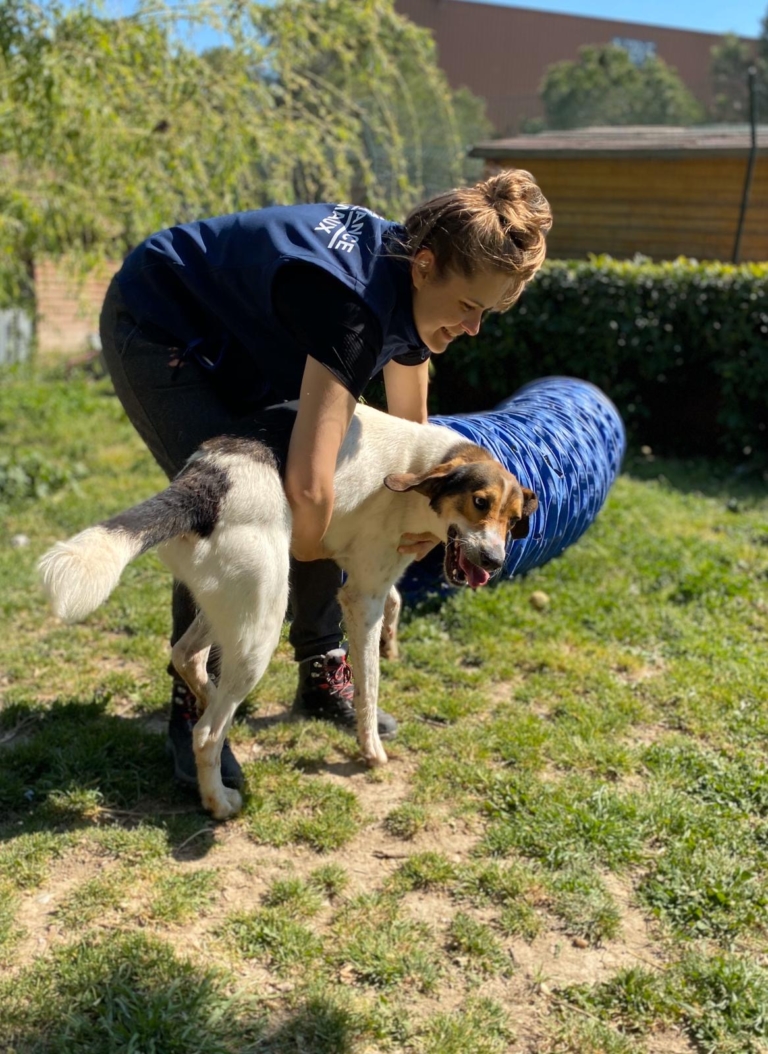 L'adoption de "Mao", petit protégé du refuge de Carros