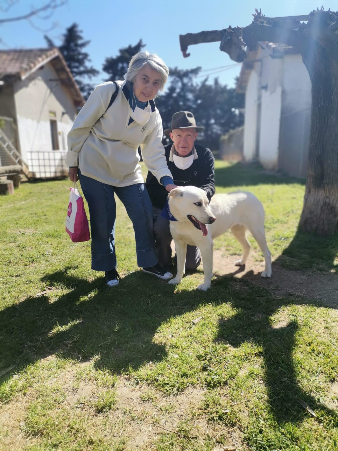 6 heureuses adoptions au refuge de Bellegarde ! - Fondation Assistance ...