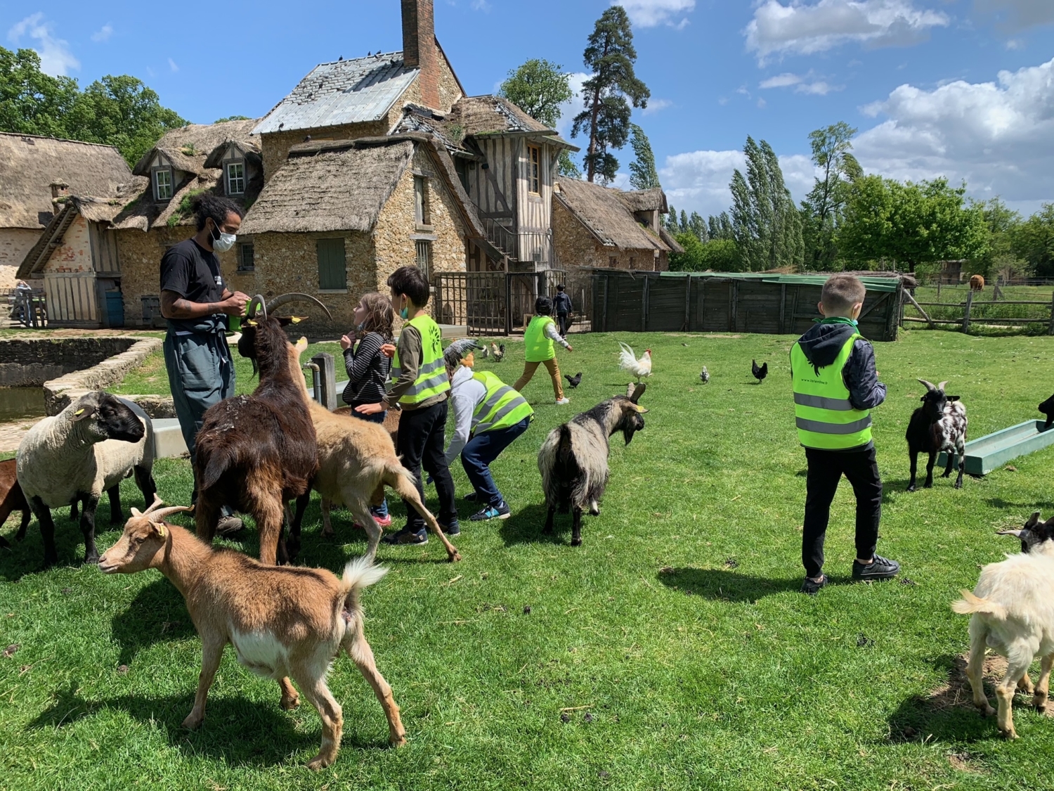 Une journée à la Ferme pédagogique de la Fondation ! - Fondation ...