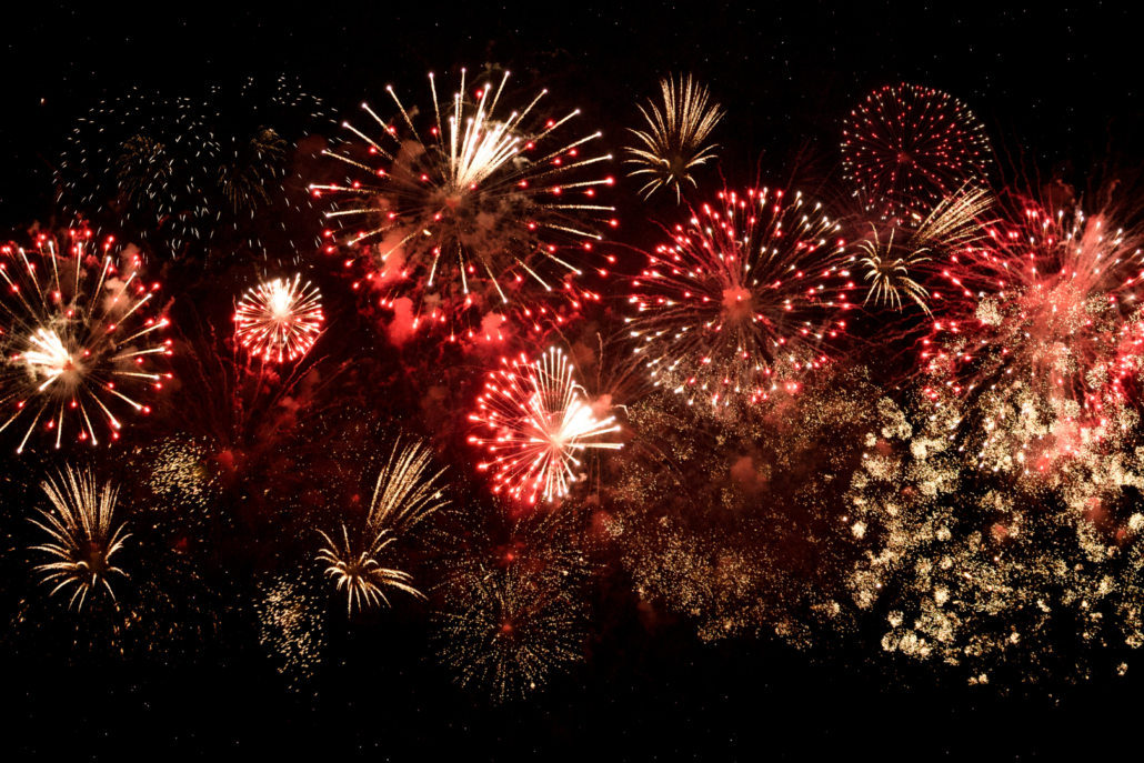 Festivités. Les feux d'artifice du Nouvel An, une source de stress pour les  oiseaux