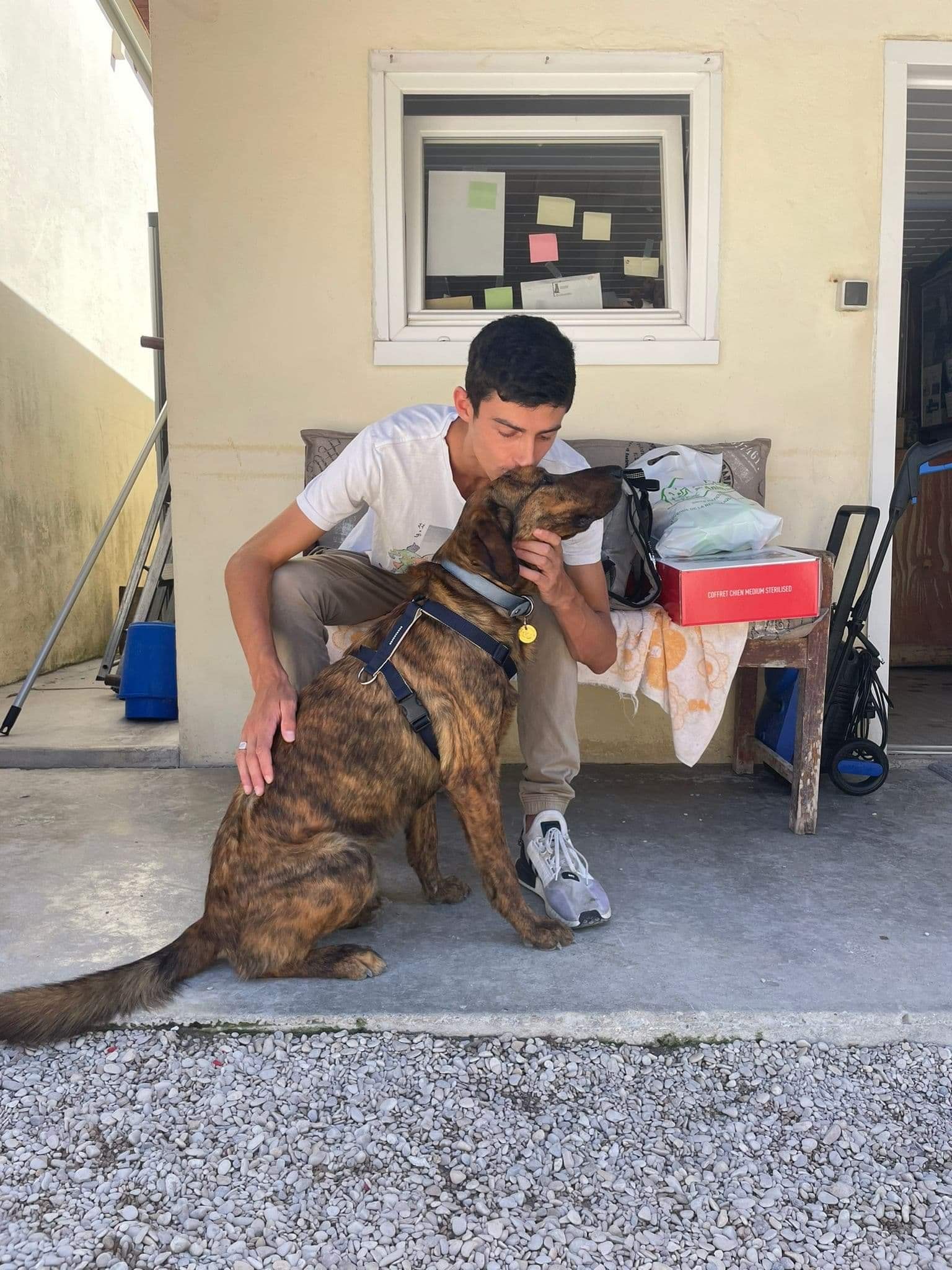 Refuge De La Fondation Assistance Aux Animaux à Villevaudé