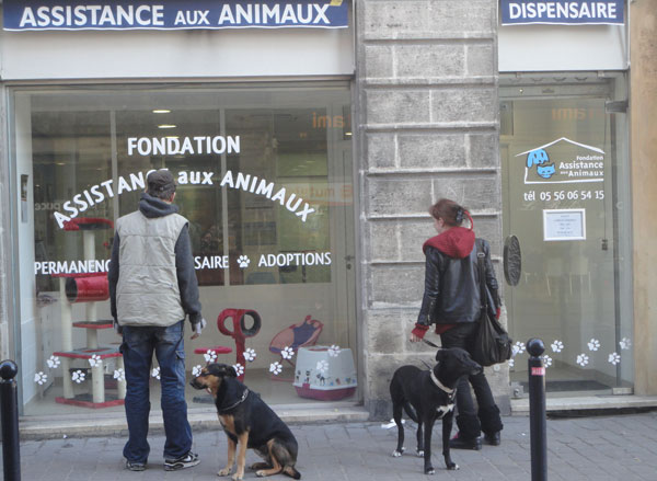 dispensaire animaux bordeaux