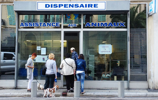 dispensaire animaux nice