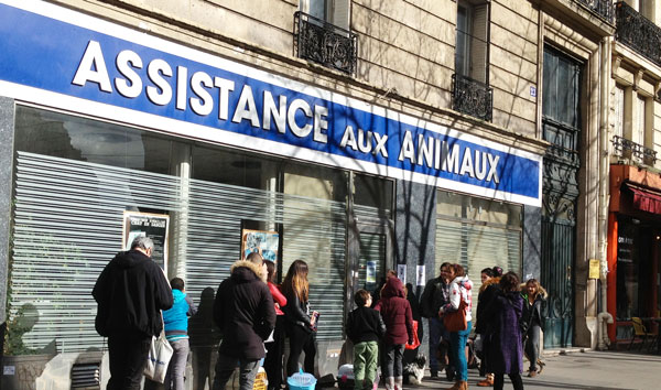 dipsensaire animaux paris