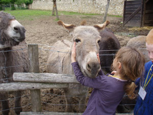 ferme animaux versailles