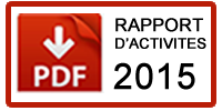 rapport activites 2015