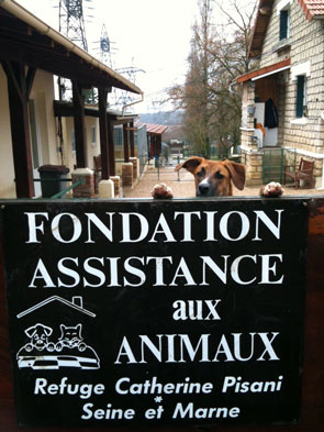 refuge fondation asistance aux animaux