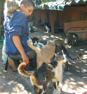 maison de retraite animaux