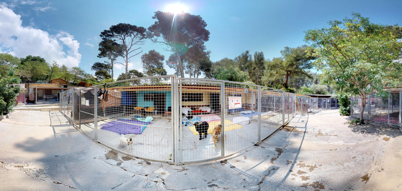 Le refuge de Toulon Fondation Assistance aux Animaux